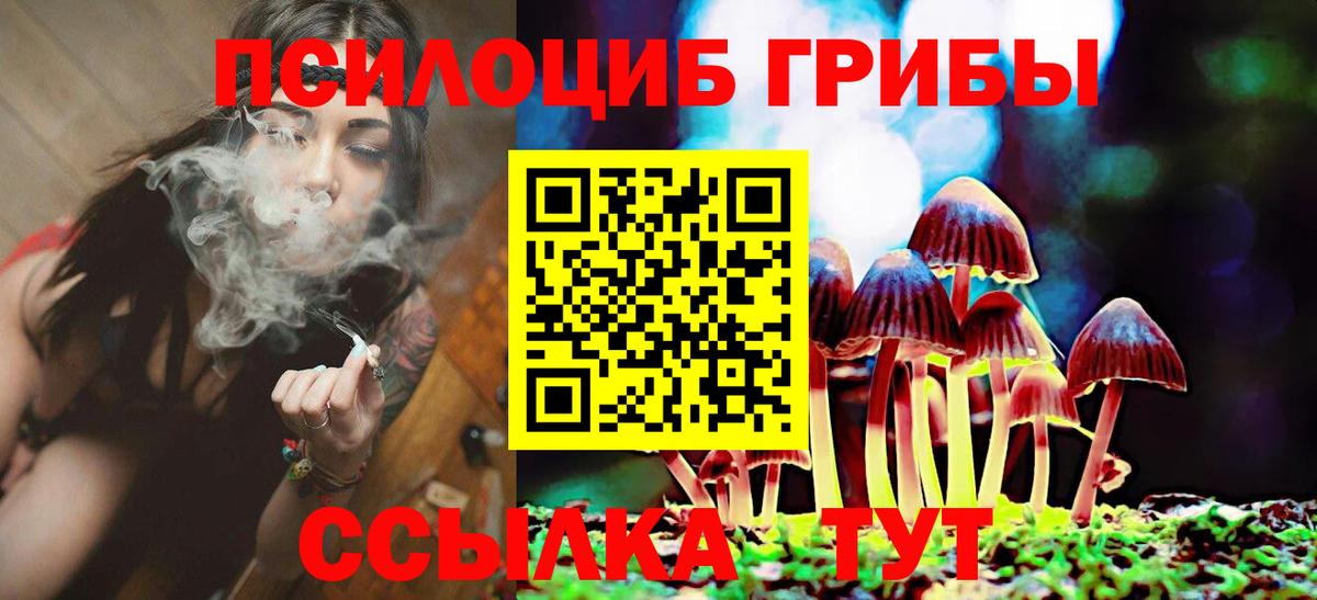 Псилоцибиновые грибы Cubensis Сафоново