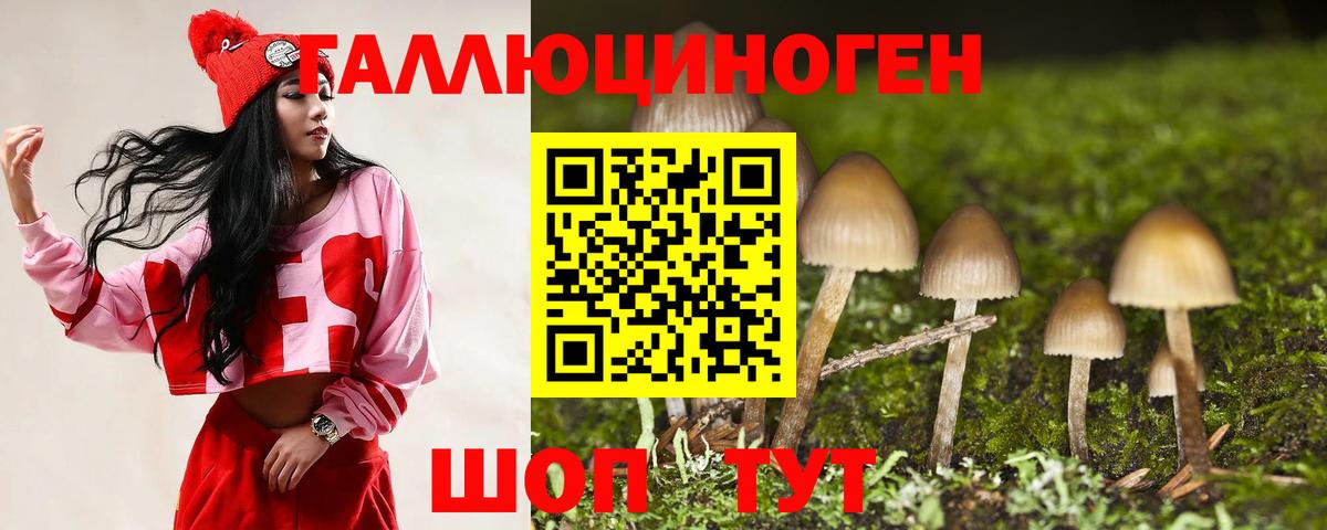 Сафоново  Псилоцибиновые грибы MAGIC MUSHROOMS  Вход с VPN 